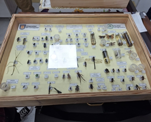 Insectario
